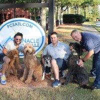 Pinnacle Custom Signs