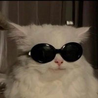 🍥👱🏻‍♀️