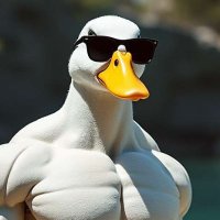 Big Buff Daddy Body Duck