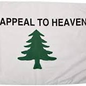 Pine Tree Flag