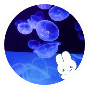 âïžðªããããð€ð»âïž