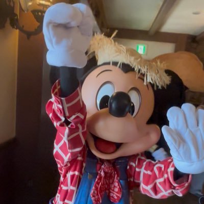 ディズニーアカウント