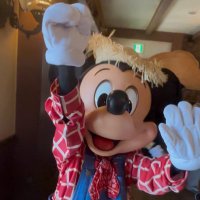 ディズニーアカウント