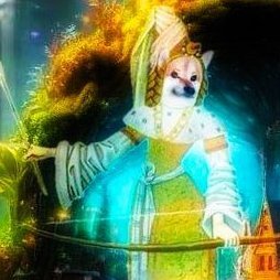 Co 🇳🇱🇺🇦🇫🇷