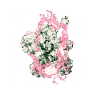 ⟢ᅠ ᅠ ᅠ ᅠ ᅠ ᅠ ᅠ 𝑟𝗈𝗌𝖾𝗍𝗍𝖺．