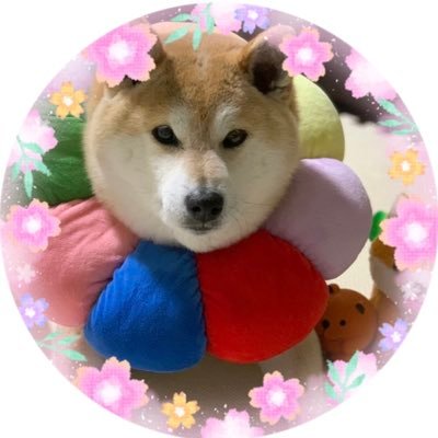 そんなパナナきなこ☆