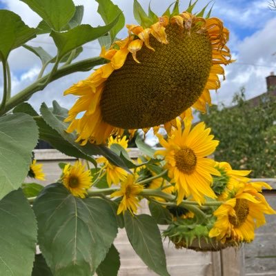 Greet.J (she/her) 🇺🇦