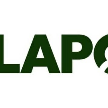 Lift Above Poverty Organisation (LAPO)