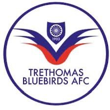 Trethomas Bluebirds AFC