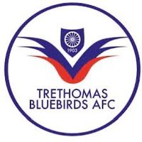 Trethomas Bluebirds AFC