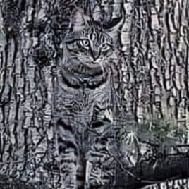 Zuzka 🇵🇱 🇪🇺 #POKOnamyZło, #magyar2026