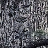 Zuzka 🇵🇱 🇪🇺 #POKOnamyZło, #magyar2026