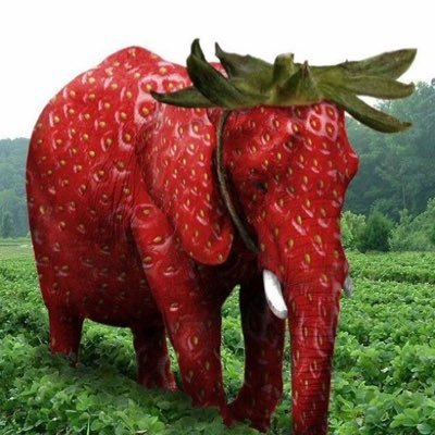 Videos AI Could Never Recreate