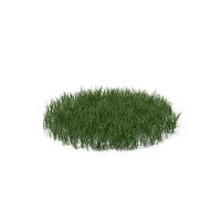grassman1255