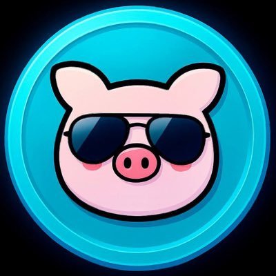 PiggyCoinBSC