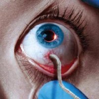 La beauté pour nous sauver