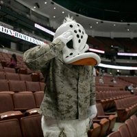 Spidey Hiro〽️🏒