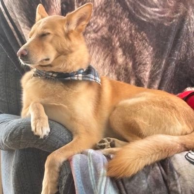 Sandra DubbleU 🇨🇦🏴󠁧󠁢󠁳󠁣󠁴󠁿