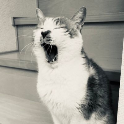 リタロー（ｽｺﾞｲｽｷｰ💁‍♂️）