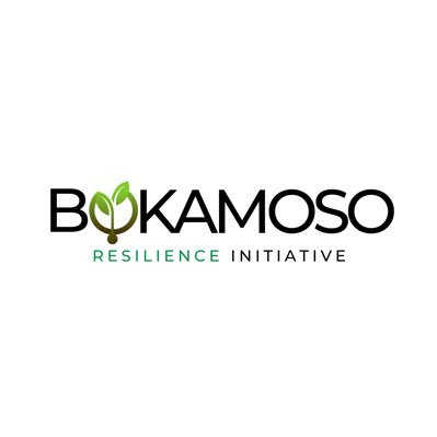Bokamoso
