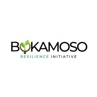 Bokamoso