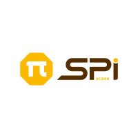 Pi SPI