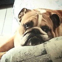 Sabrina P🌗🦂SabryP