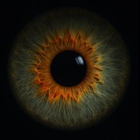 MaxXx 🇨🇵 🇪🇺🇸🇪