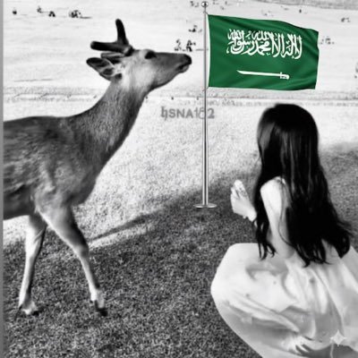 غزالــــــه *~