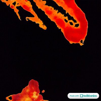 qimme🚇thee casual