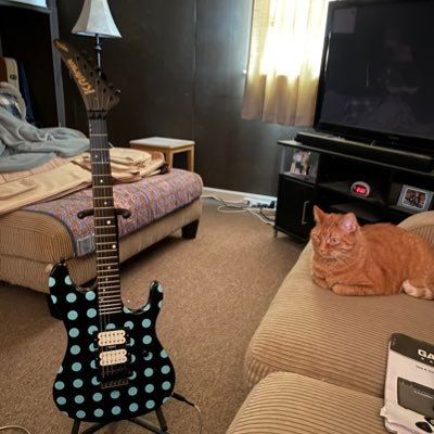 Traumatically Brain Injured Redneck