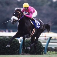 さくらもち競馬垢(かもコは野球垢)