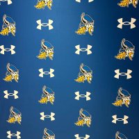 New Berlin West Bball