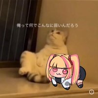 負け猫🐈🌹🧅⚡️137