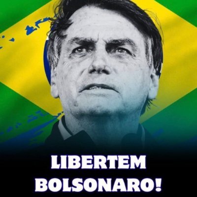 BOLSONARO LIVRE