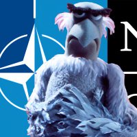 IBDriver_29🇺🇦🇪🇺