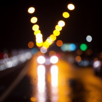 黒犬クウwithカメ四兄弟