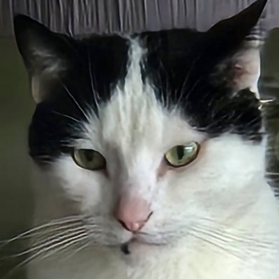 Passionately ambivalent extremist