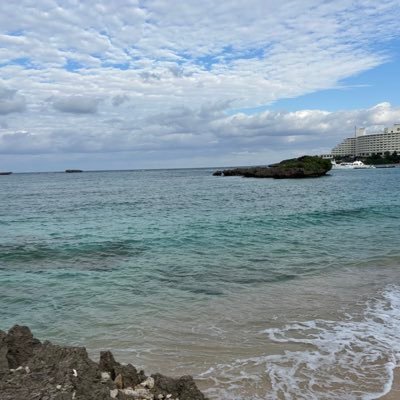 ふぉと@5/19まで猫化