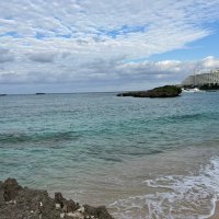 ふぉと@5/19まで猫化