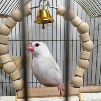 ｼﾝおねだりJUN ＠昭和をこよなく愛するアナログ紳士😆💎✨✨✨