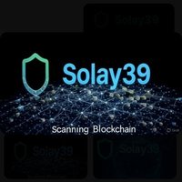 solay39 Dex Audit