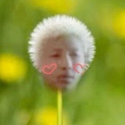 soooooomanyacorns⁷