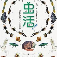 いっつぁん（ドラちゃん）