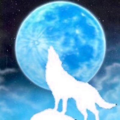 オオカミ（白狼🤍）🐺痛挨拶固定会　関西closet見守り隊🥀所属