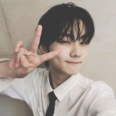 Dianita*ENHYPEN IS 7