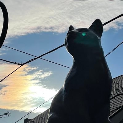 ちびくろ。🐈‍⬛💫💧🌈🍊ξ