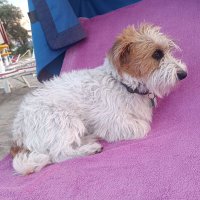 ascanio038@gmail.com