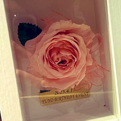 はやしゆの🌸4/24.25BDEV