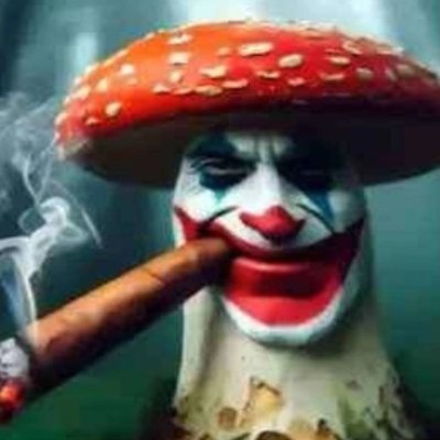 HilltopWeather(HREF truther)